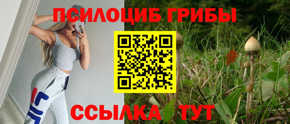 наркотики  Галлюциногенные грибы ЛСД  Вход с VPN  Павлово 
